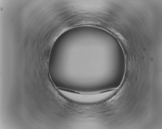 X0000088211369200706121755