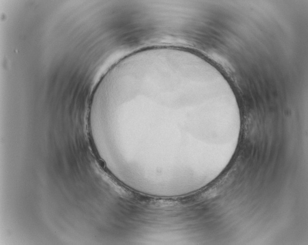 X0000088211374200706121755