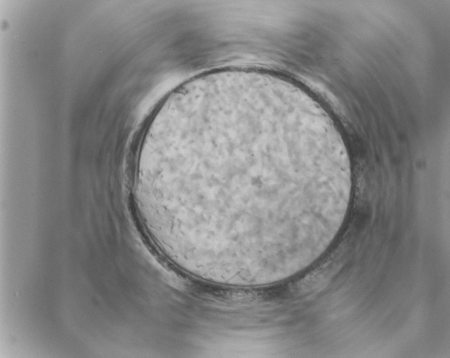 X0000088211375200706121755