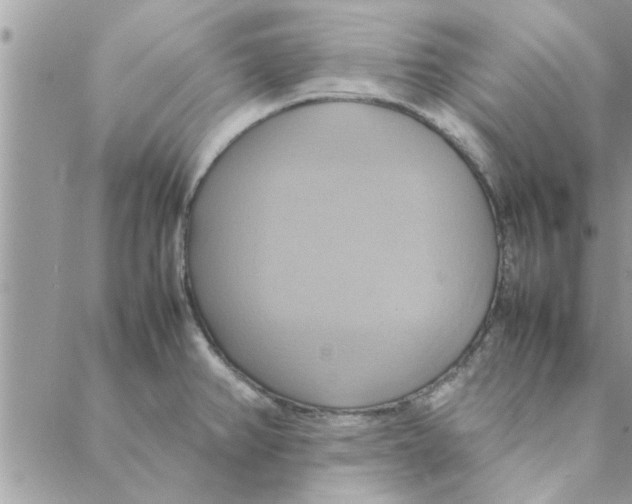 X0000088211382200706121754