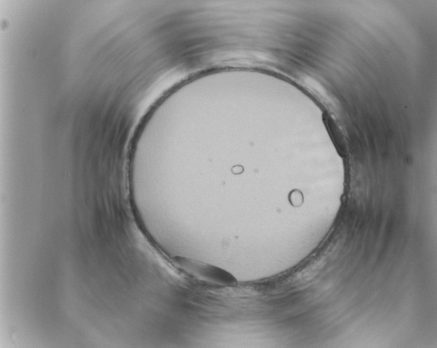 X0000088211384200706121754