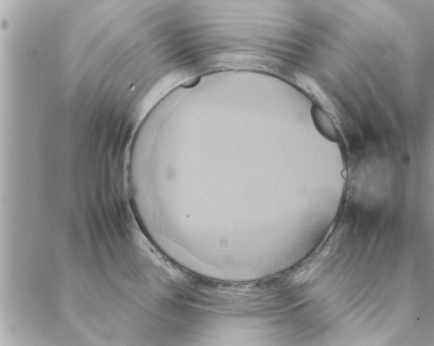 X0000088211386200706121754