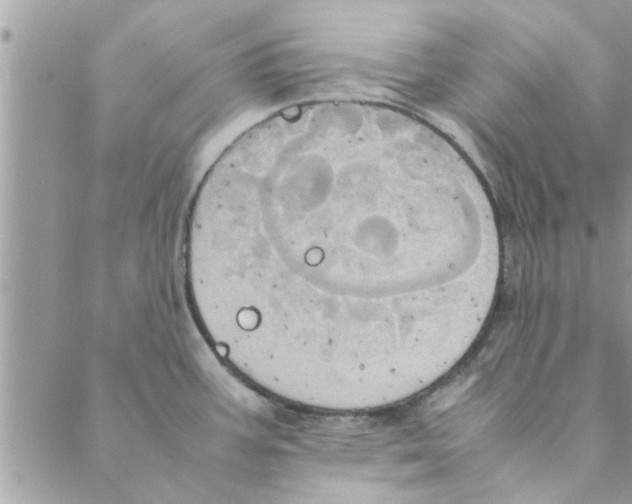 X0000088211387200706121754