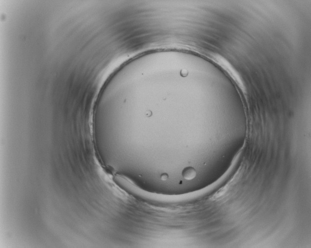 X0000088211388200706121754