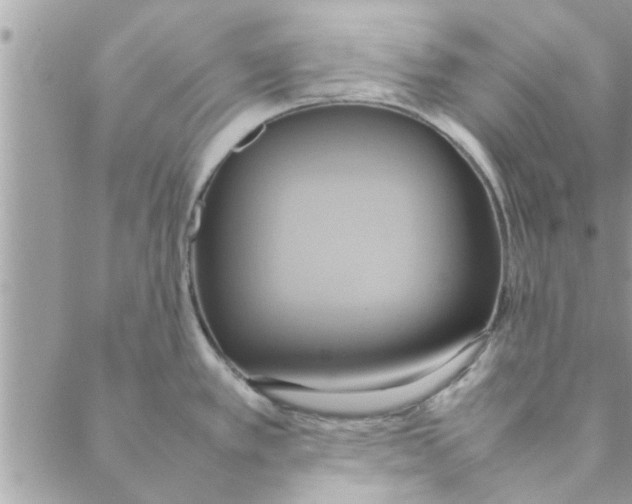 X0000088211389200706121754