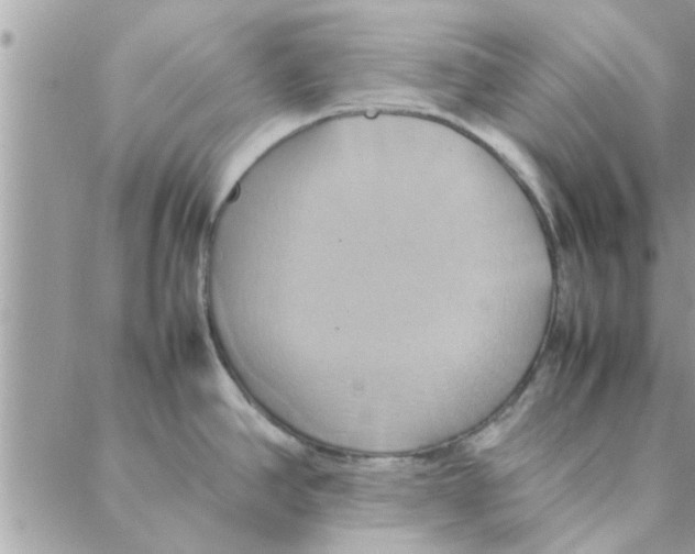 X0000088211390200706121754