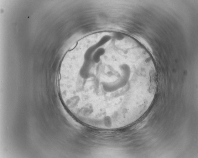 X0000088211391200706121754