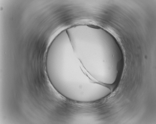 X0000088211392200706121754