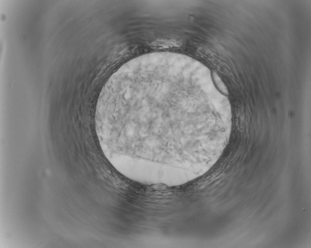 X0000088211393200706121754