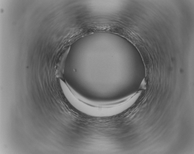 X0000088211394200706121754