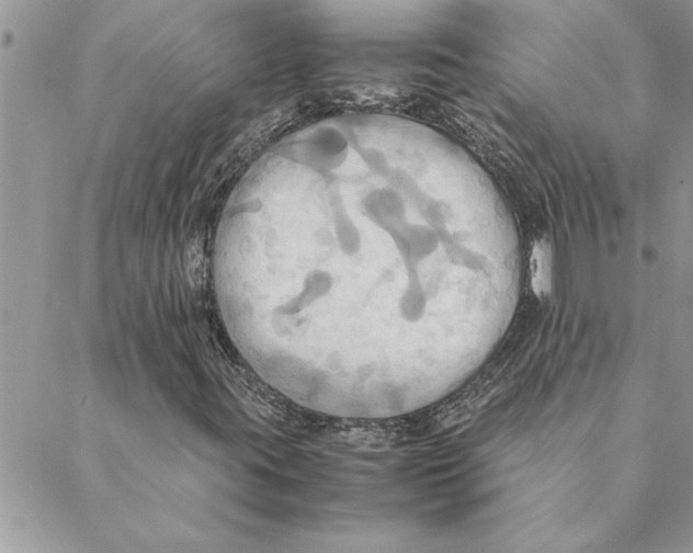 X0000088211395200706121754