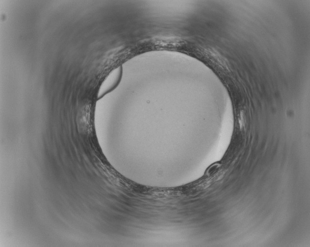 X0000088211396200706121754