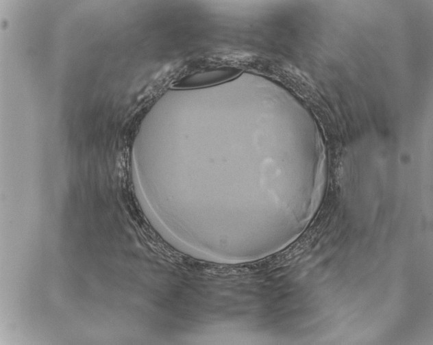 X0000088211397200706121754