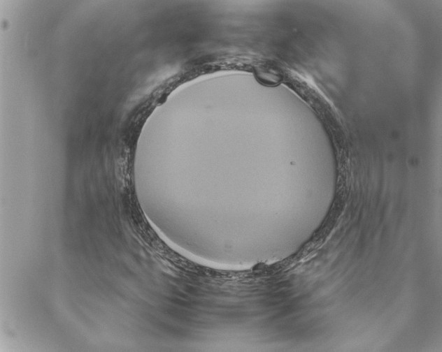 X0000088211399200706121754