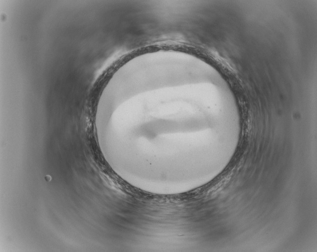 X0000088211400200706121754