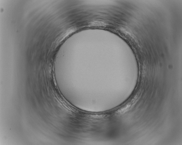 X0000088211401200706121754