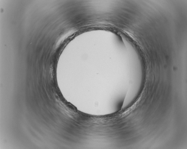 X0000088211402200706121754