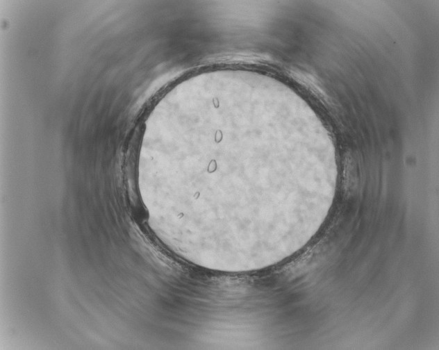 X0000088211404200706121754