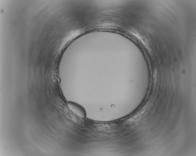 X0000088211405200706121754