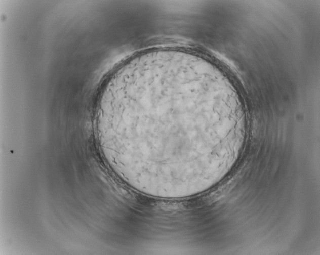 X0000088211407200706121754