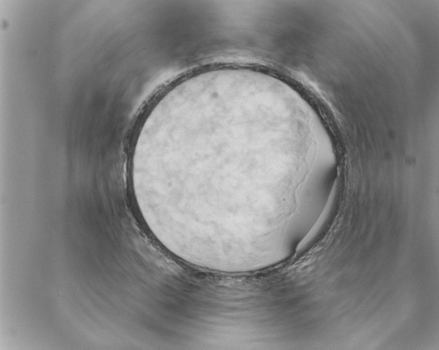 X0000088211408200706121754