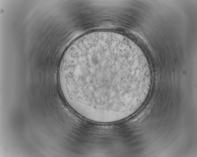 X0000088211409200706121754