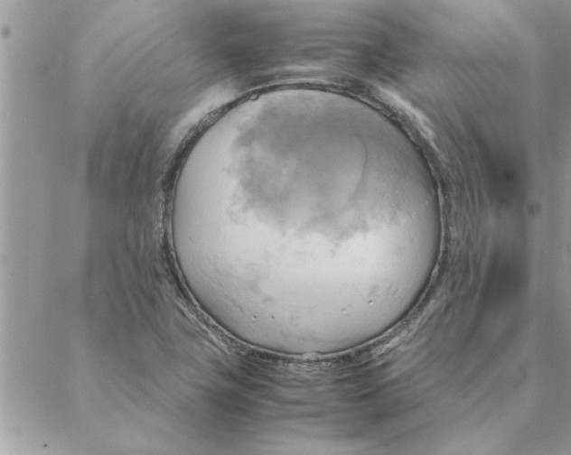 X0000088211411200706121754