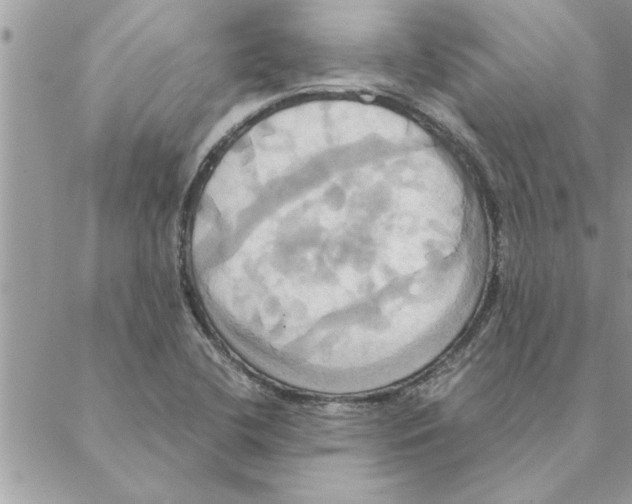 X0000088211412200706121754