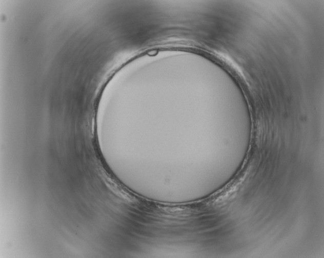 X0000088211413200706121754