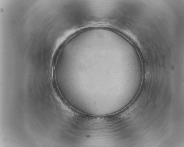 X0000088211414200706121754