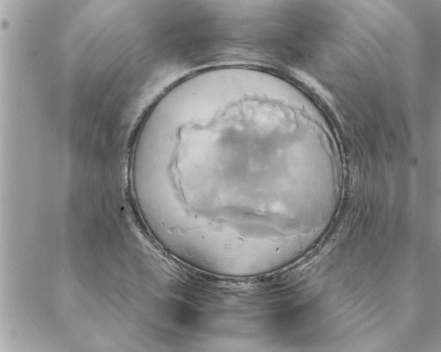 X0000088211415200706121754