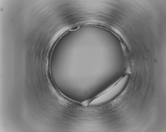 X0000088211418200706121754