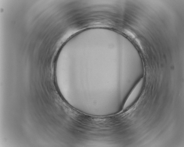 X0000088211419200706121754