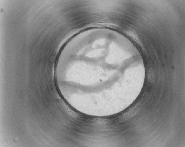 X0000088211420200706121754