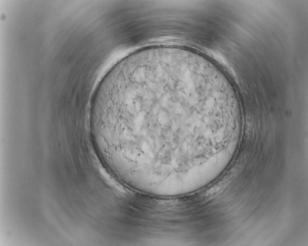 X0000088211421200706121754