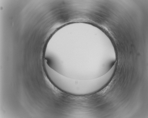 X0000088211422200706121754