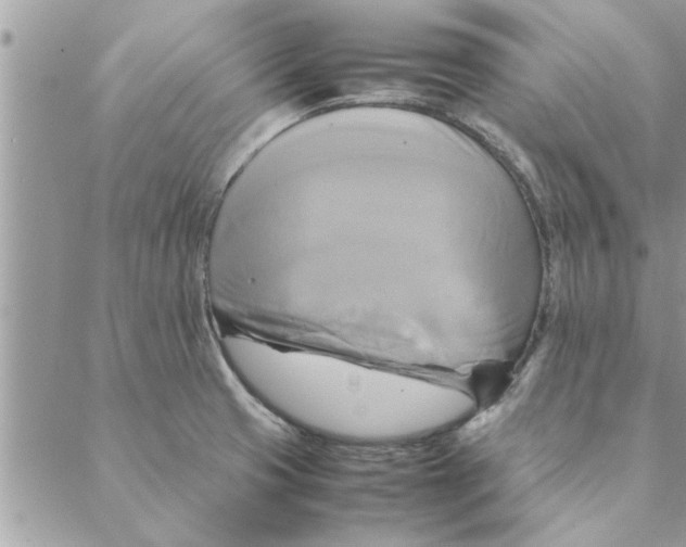 X0000088211425200706121754