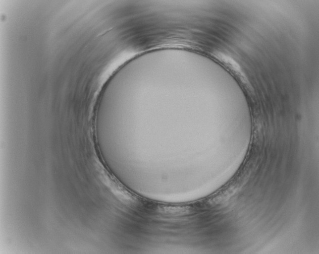 X0000088211427200706121754