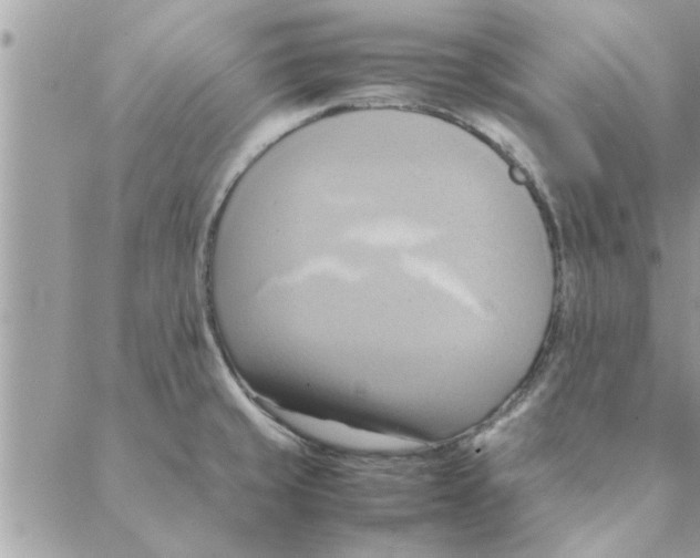 X0000088211429200706121754