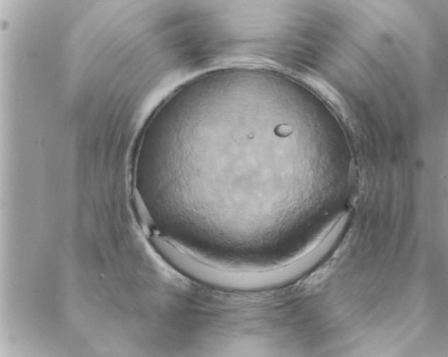 X0000088211430200706121754