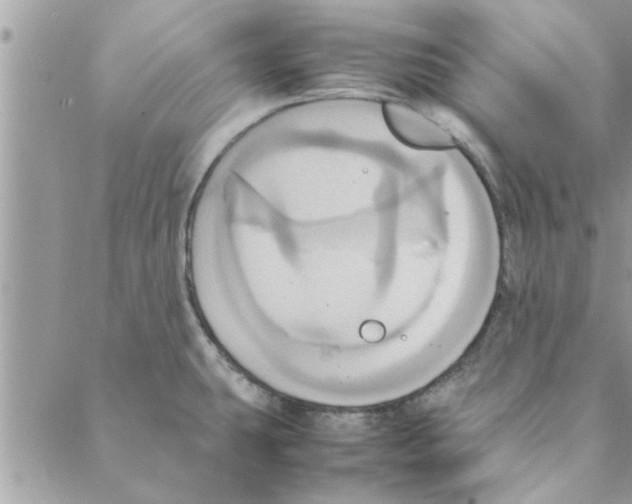 X0000088211431200706121754