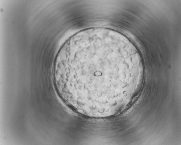 X0000088211432200706121754