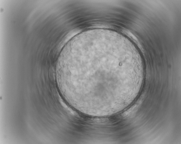 X0000088211433200706121754