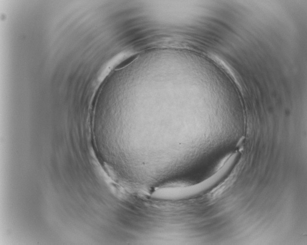 X0000088211434200706121754