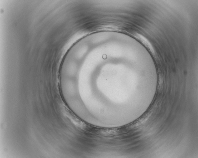 X0000088211435200706121754