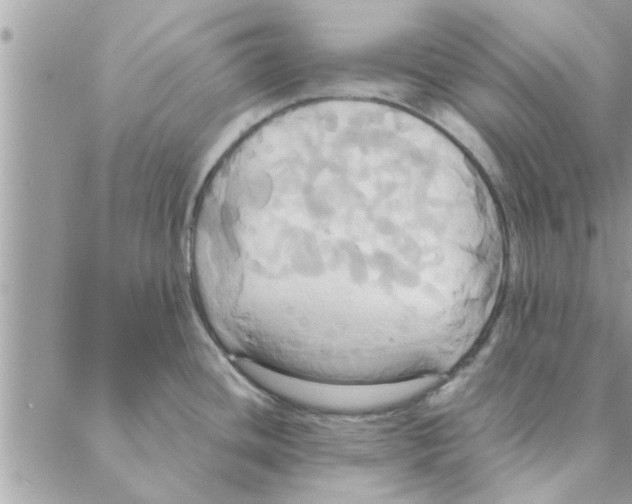 X0000088211436200706121754