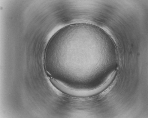 X0000088211438200706121754