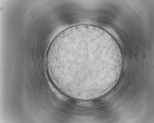 X0000088211439200706121754