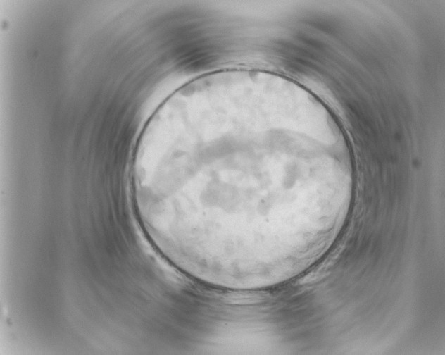 X0000088211440200706121754