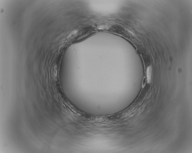 X0000088211443200706121754